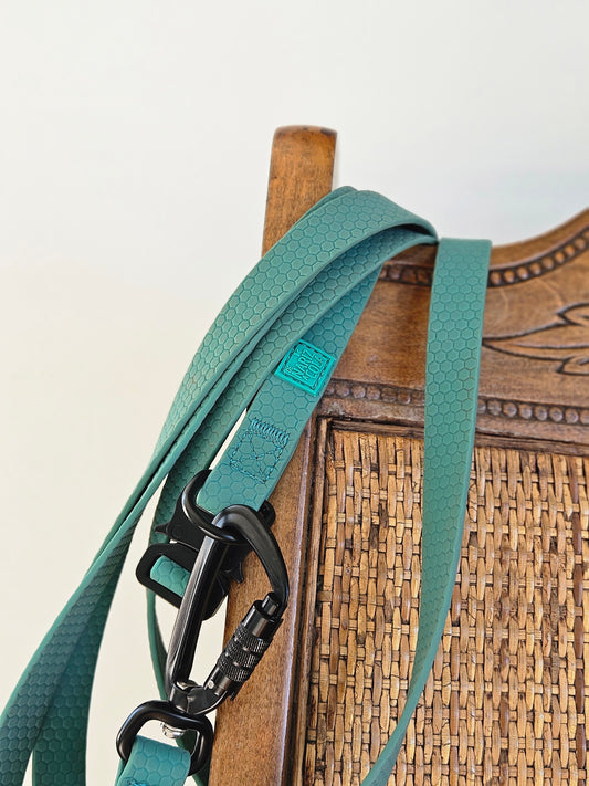 Pack Collar & Correa