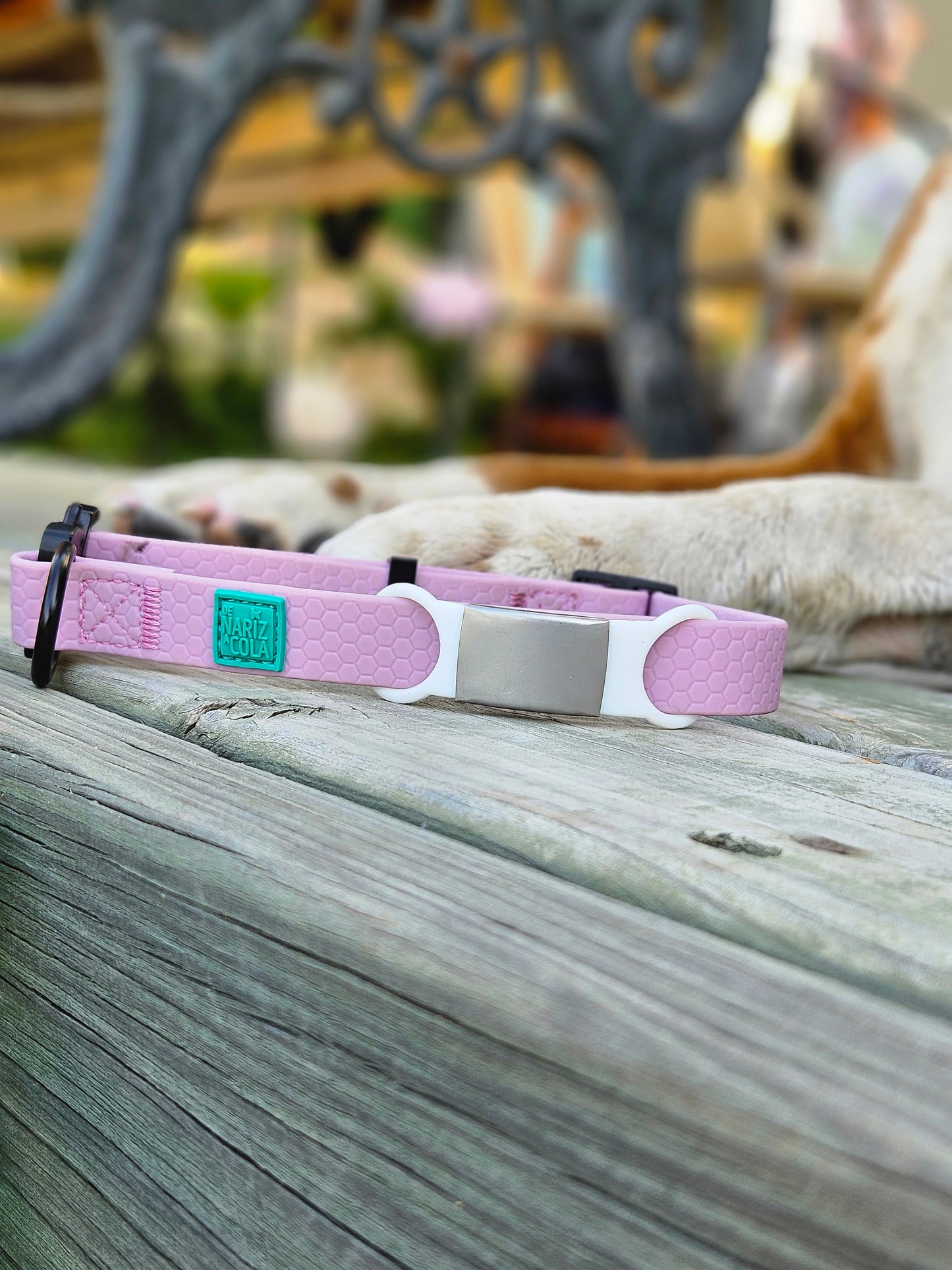 Pack Collar & Chapita