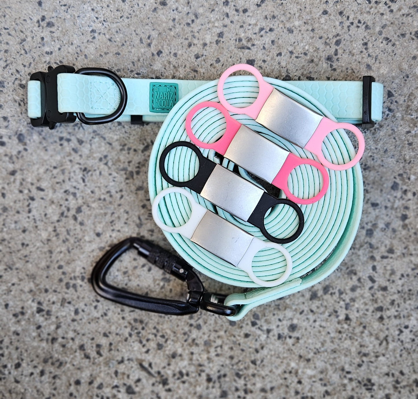 Pack Collar & Correa & Chapita
