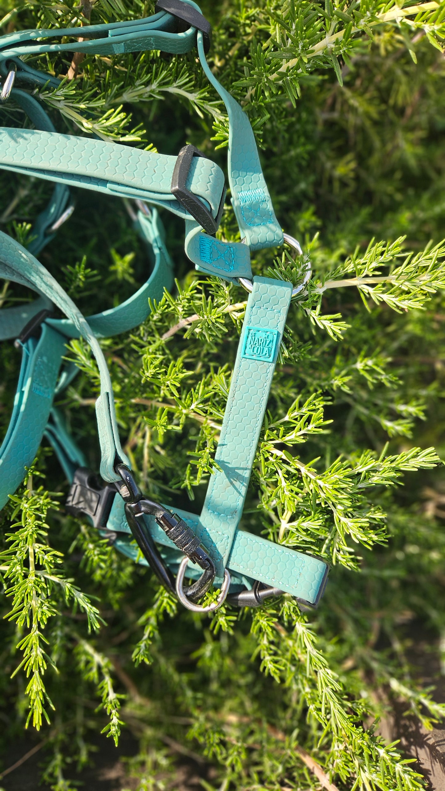 Pack Arnés + Correa